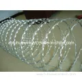 Export Good Quality Razor Wire